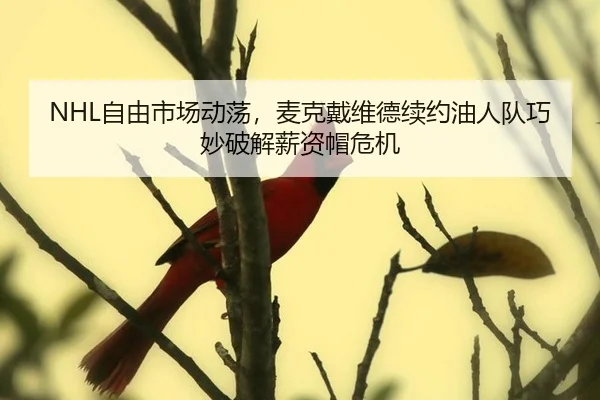 zi-you-shi-chang-dong-dang-mai-ke-dai-wei-de-xu-yue-you-ren-dui-qiao-miao-po-jie-xin-zi-mao-wei-ji-3-718.jpg
