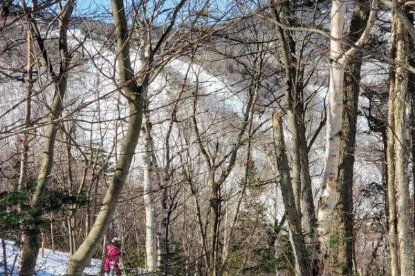 中国女将王聪豪取两连胜八角笼惊艳,正全力冲击蝇量级世界前十排名